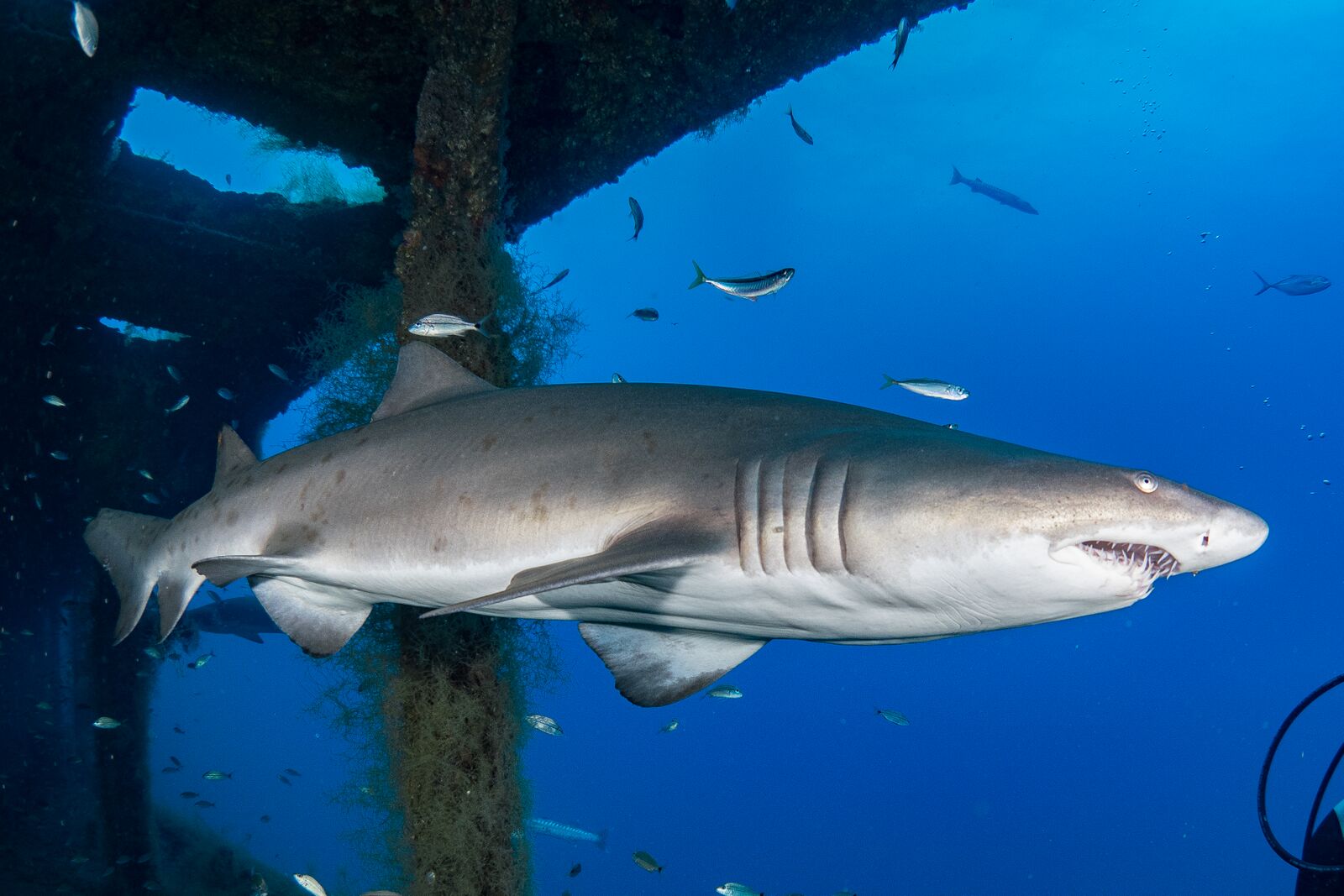 62b9f42c-8fae-40e9-8e22-f19dff333f94