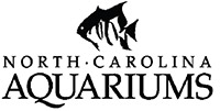 NC Aquarium