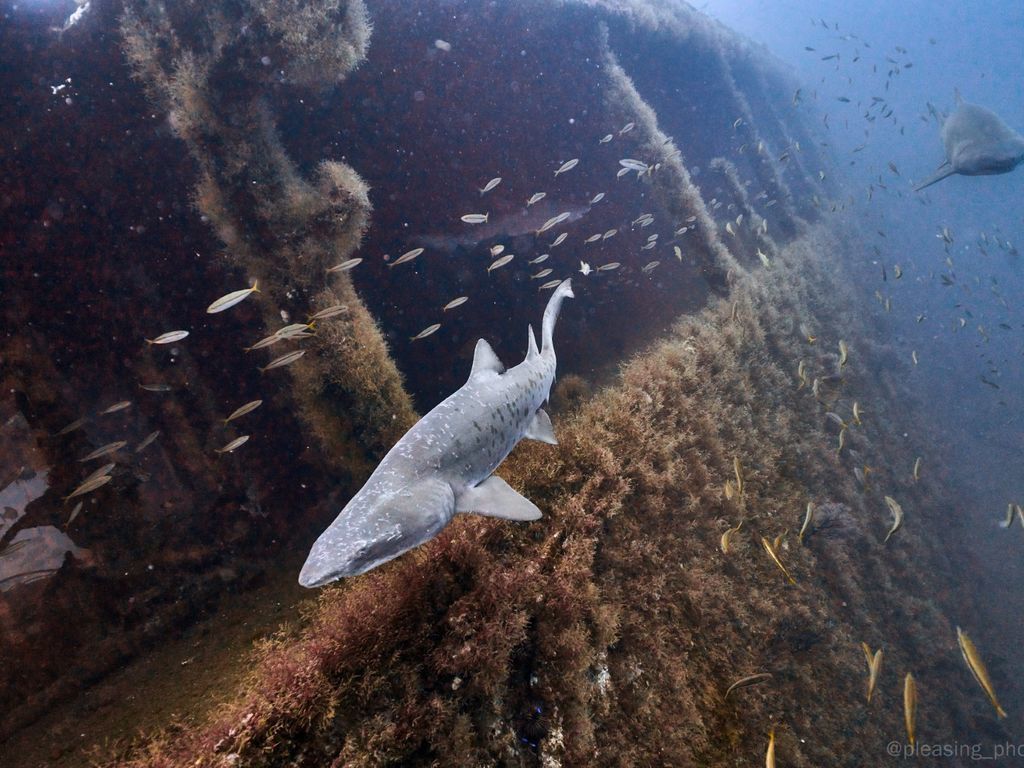 a299b113-0245-4ef9-9360-2bba7d01ca66