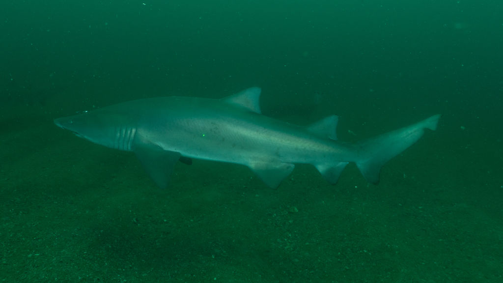 8c75741a-c1e4-4fb5-88c2-b5b328bff831