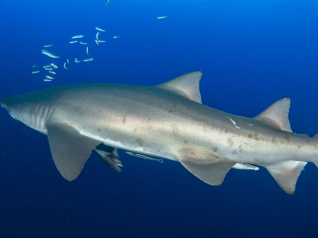 89927130-681d-45d4-a8ef-f4bfd315f803