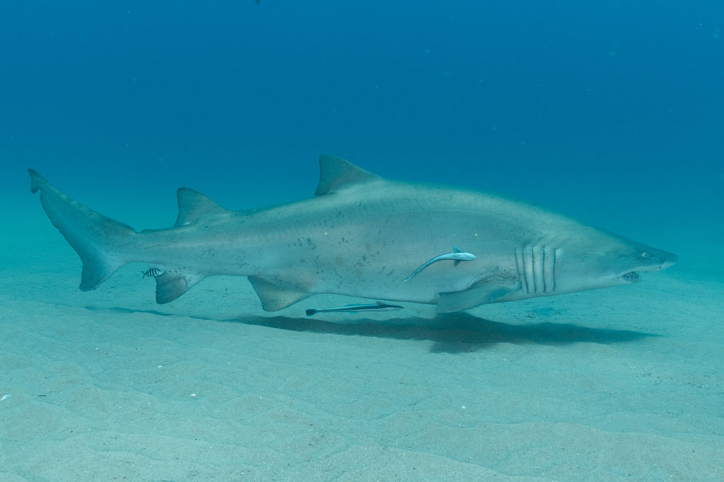 db3e62d8-9c87-4698-ae17-9b29cd47151a