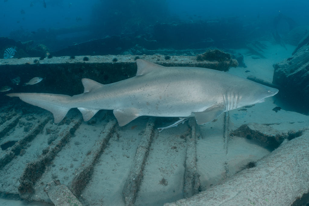 db3e62d8-9c87-4698-ae17-9b29cd47151a