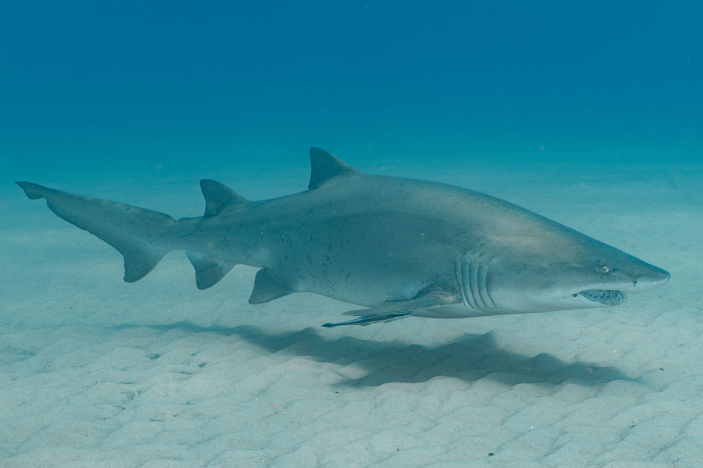 db3e62d8-9c87-4698-ae17-9b29cd47151a