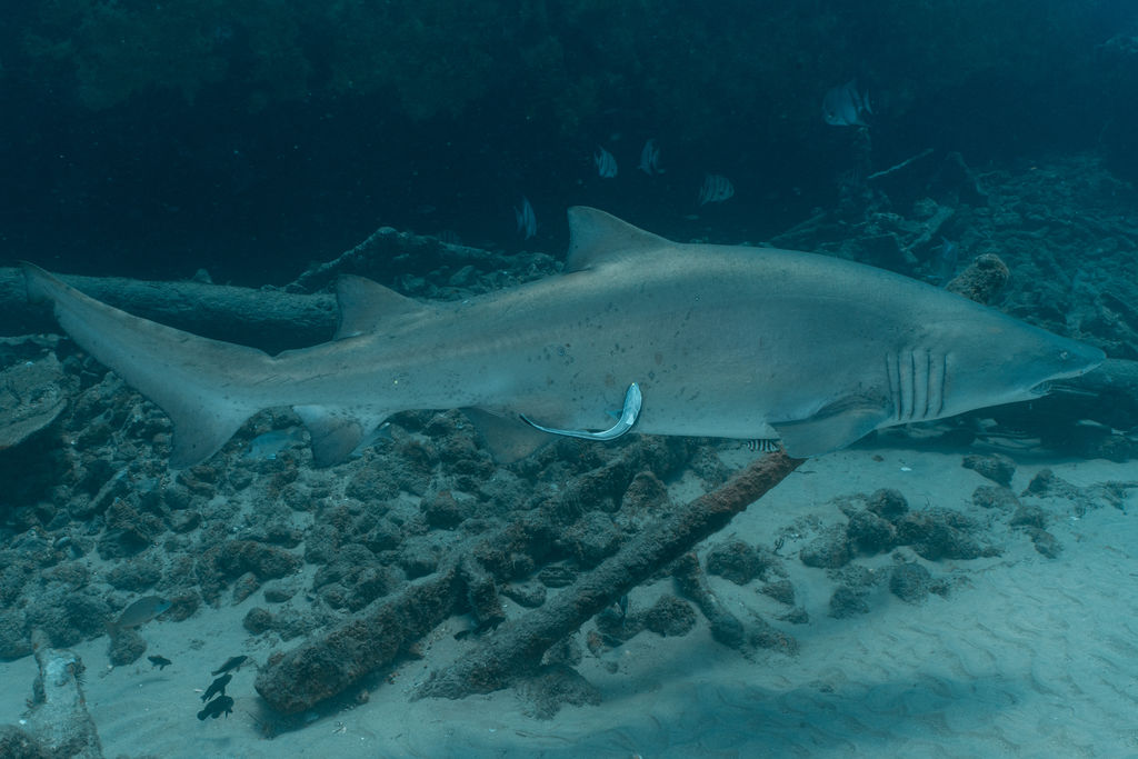 db3e62d8-9c87-4698-ae17-9b29cd47151a