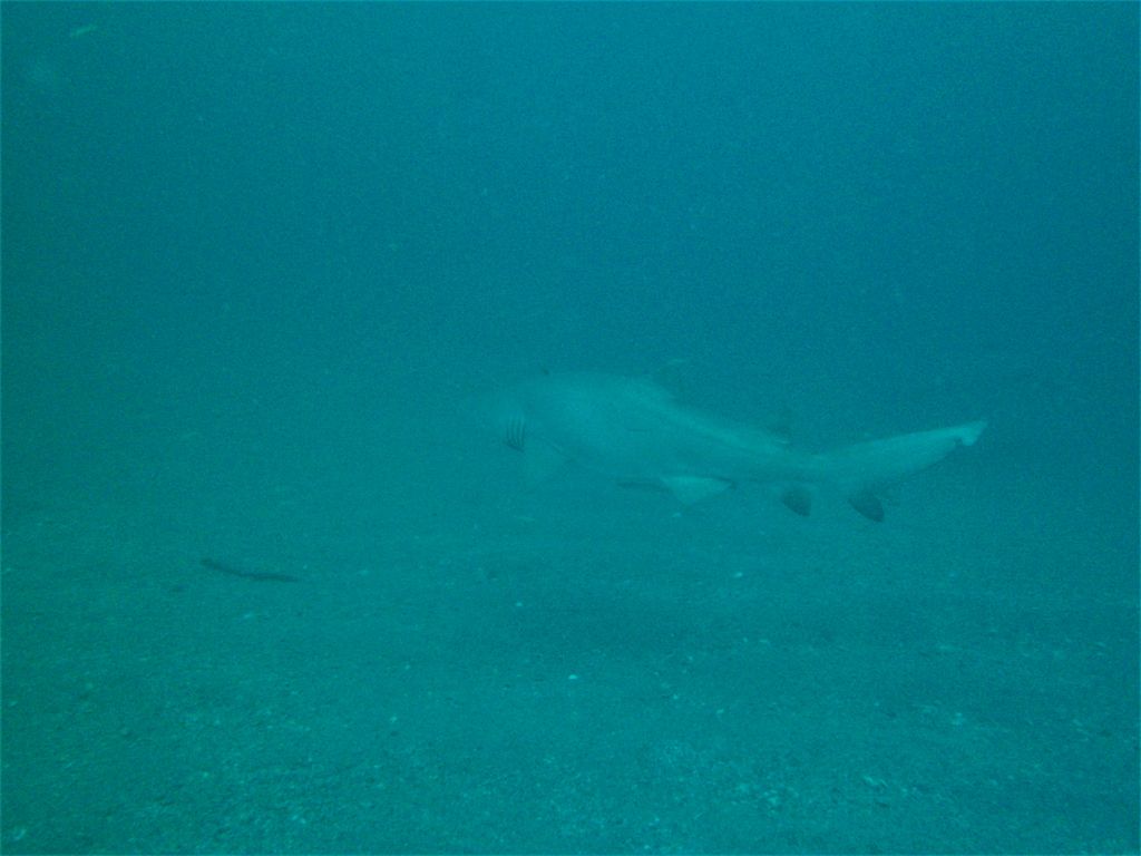 786dbdfc-05a0-43bd-8e2f-85650f1d9d38