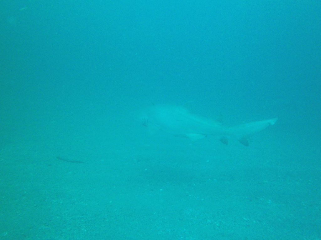 786dbdfc-05a0-43bd-8e2f-85650f1d9d38