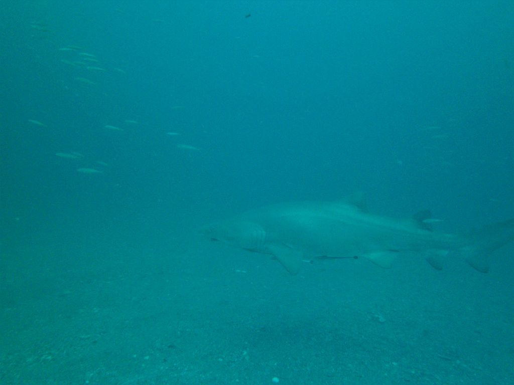 786dbdfc-05a0-43bd-8e2f-85650f1d9d38