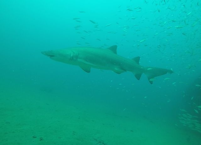 f2095960-b209-44ed-8f53-5b0983887ba6