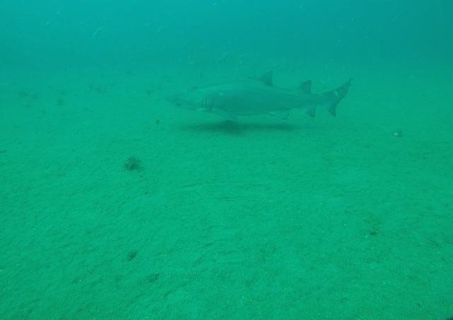 f2095960-b209-44ed-8f53-5b0983887ba6