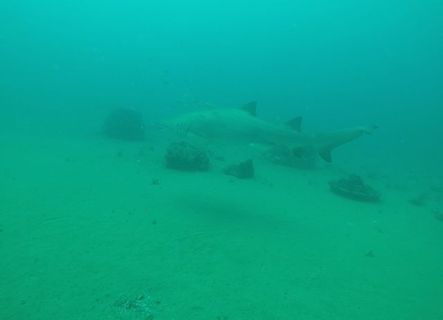 f2095960-b209-44ed-8f53-5b0983887ba6