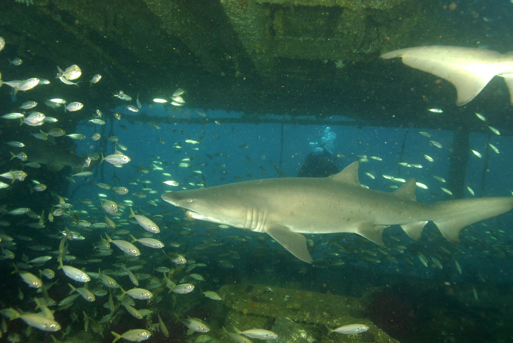 f36adea3-ae0e-46ac-9504-535c167553f2