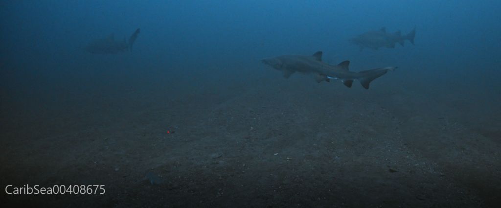 ee2799ff-e2a2-470f-af04-6cb25872c96e