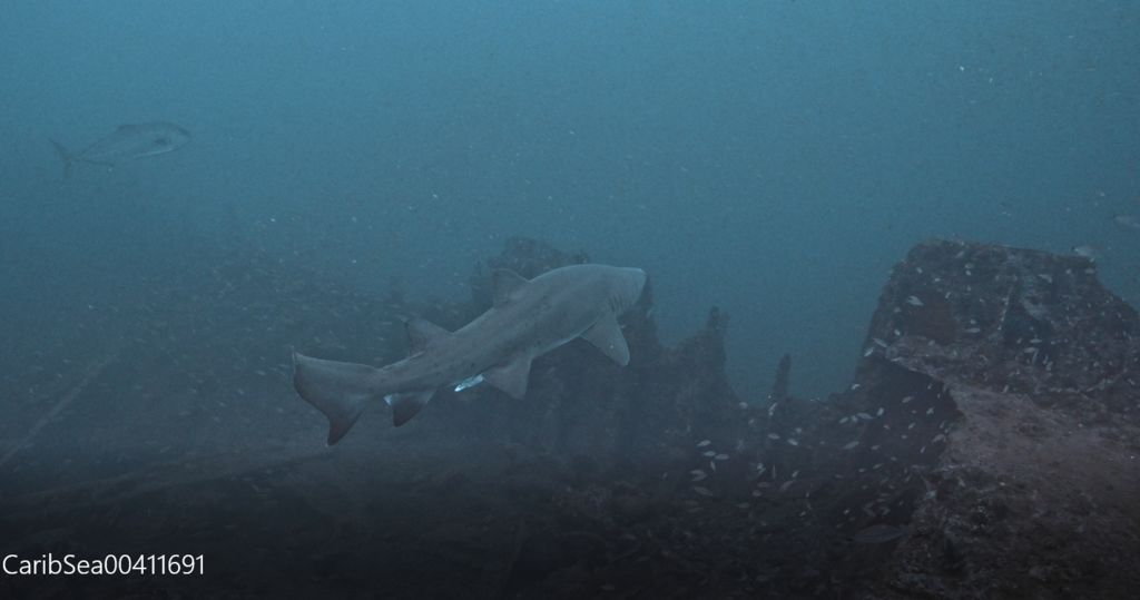 ee2799ff-e2a2-470f-af04-6cb25872c96e