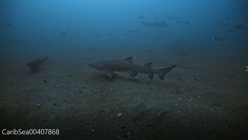 ee2799ff-e2a2-470f-af04-6cb25872c96e