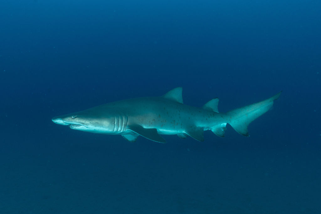 3be4e547-ebd8-4c56-b57d-b62dfd071142