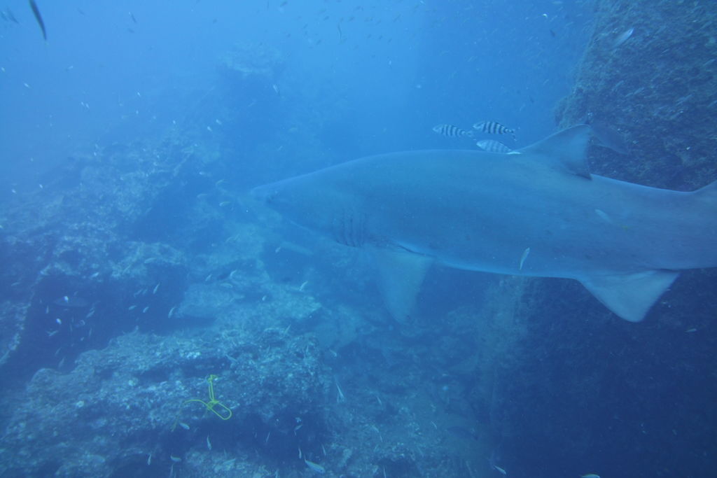 5bca20bc-50c2-47eb-b293-c5bd2f3caf78