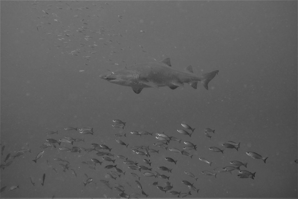 fb17deef-1232-49c9-87ce-54699ccc38e3