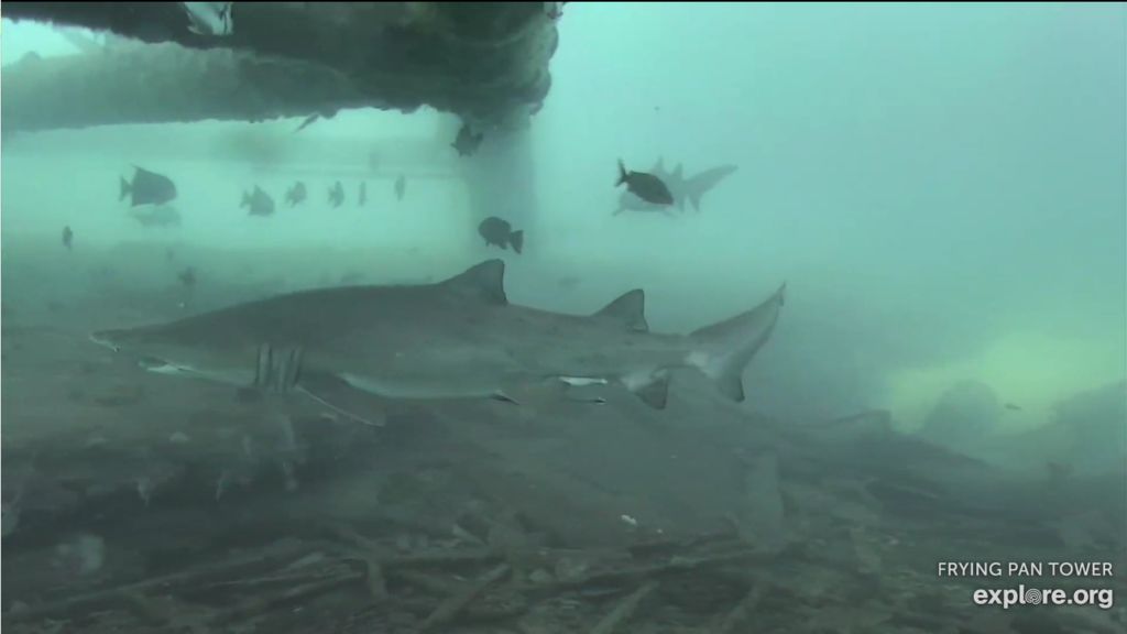 b2723e1b-b852-41c0-8547-3b6d38b58311