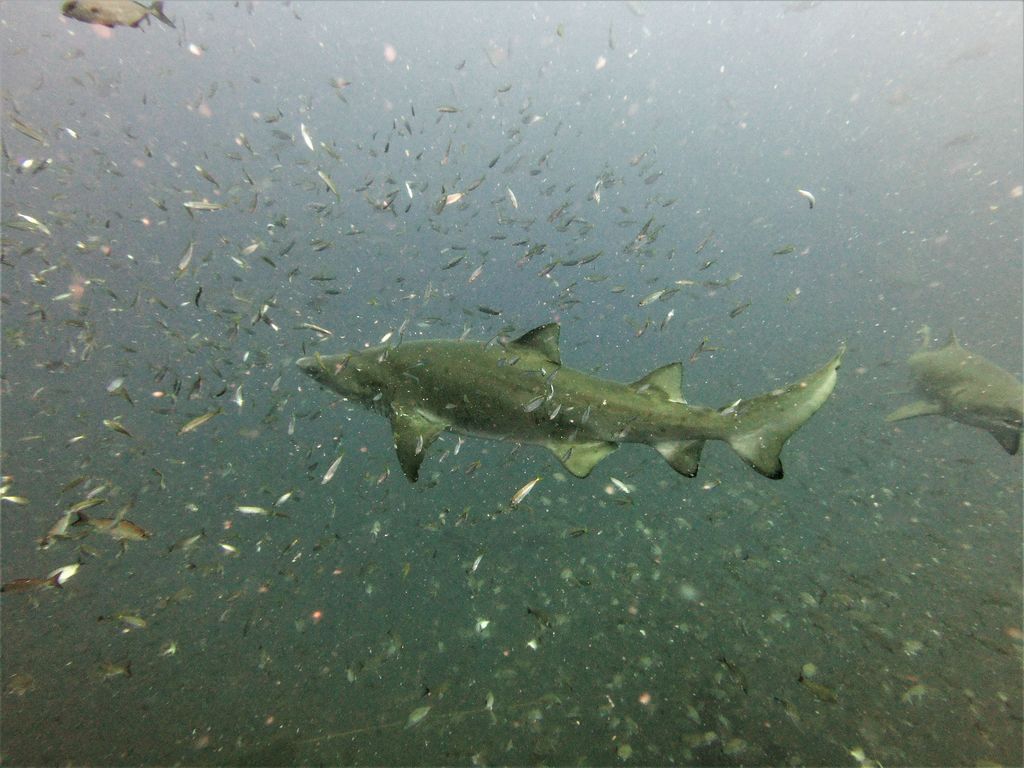 6f447d49-2b4c-471c-8af9-84a817d2e16d