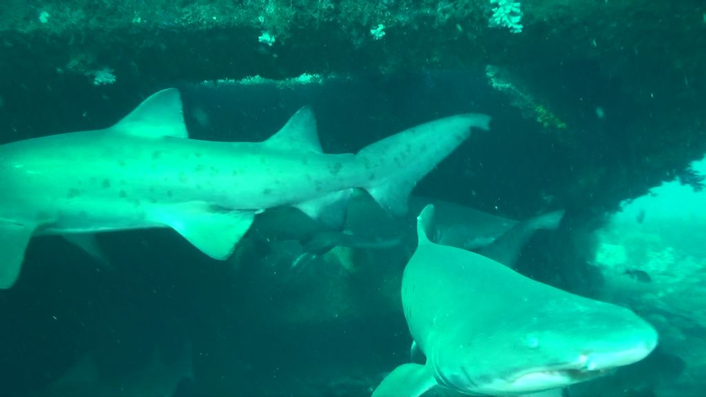 6b531114-9f68-4998-97a9-0cd95ce7d23b