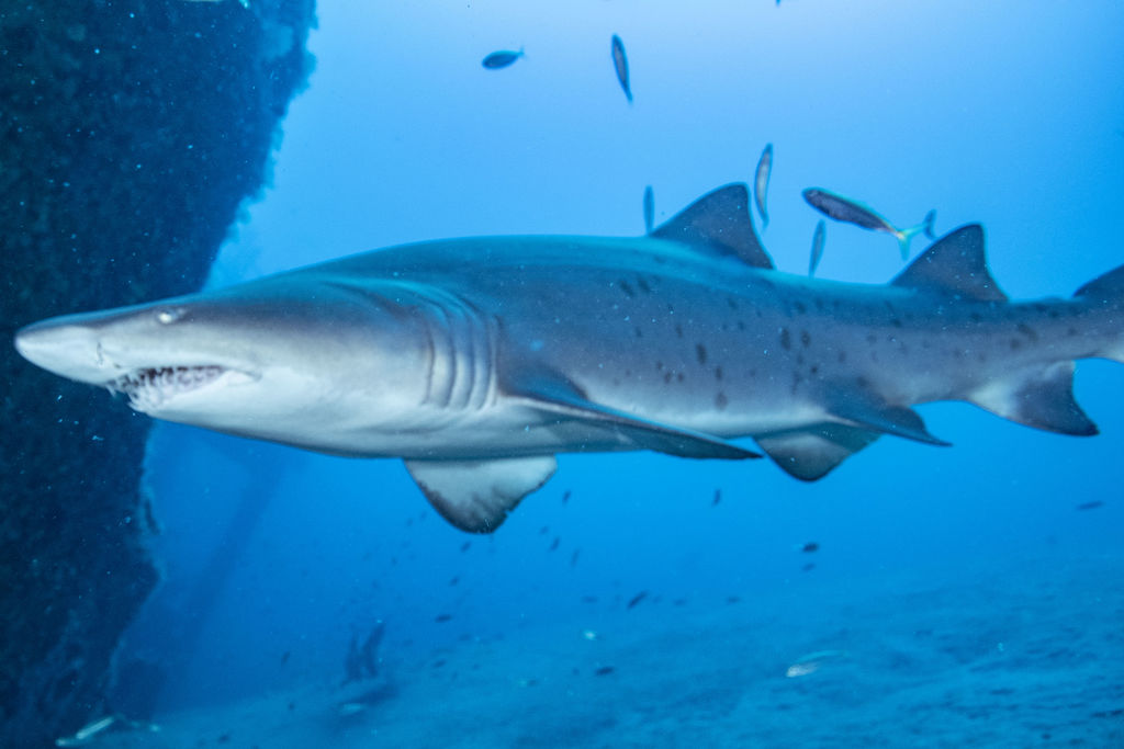 4675ec16-6983-4ef1-85a2-946527675961