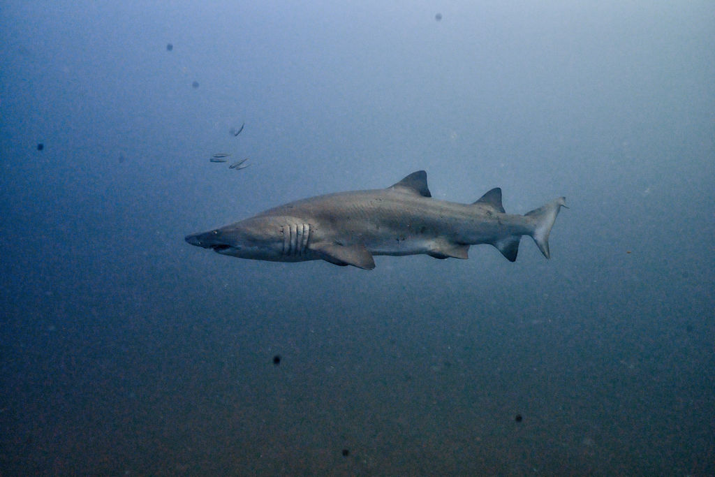 fd216c26-c82c-4533-8e72-cac156b7082b