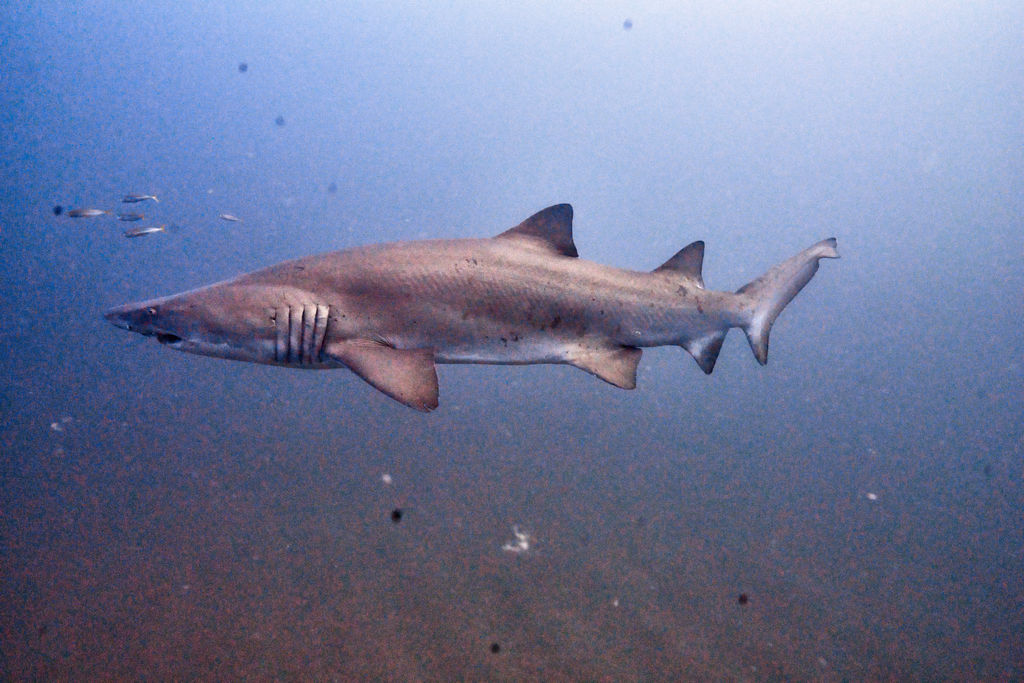 fd216c26-c82c-4533-8e72-cac156b7082b