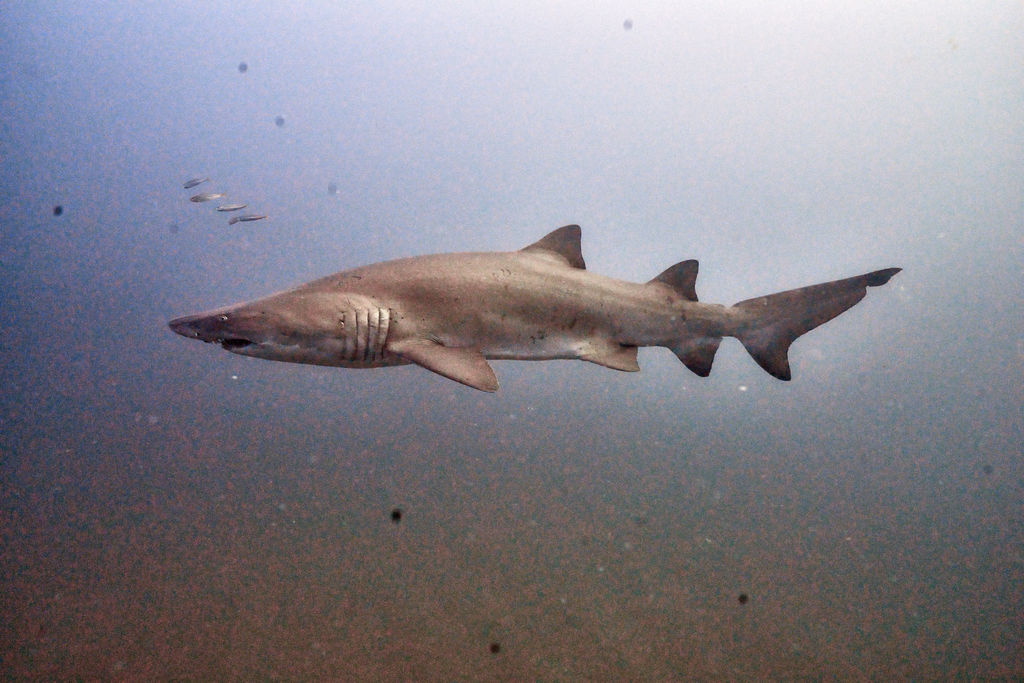 fd216c26-c82c-4533-8e72-cac156b7082b