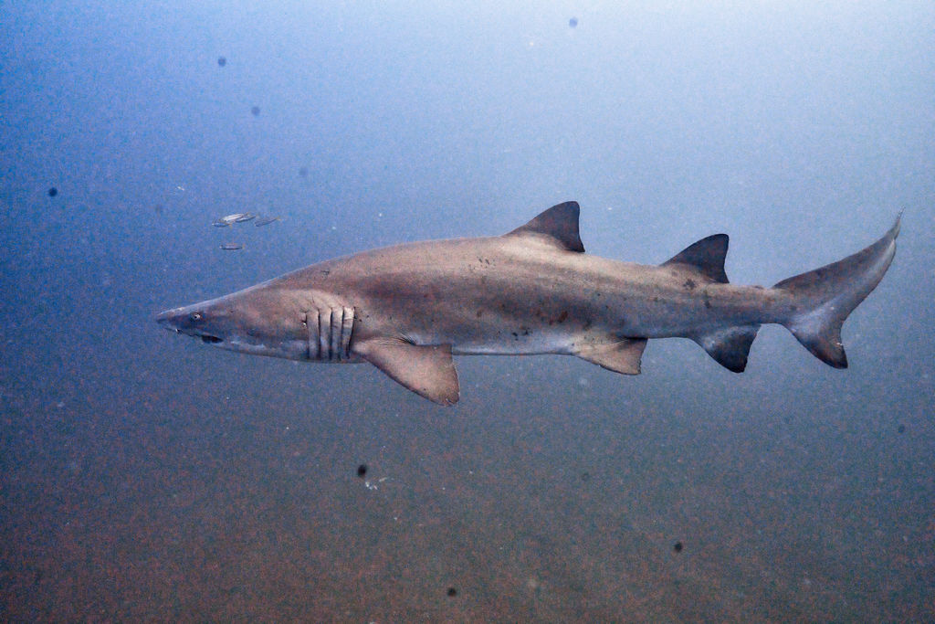 fd216c26-c82c-4533-8e72-cac156b7082b