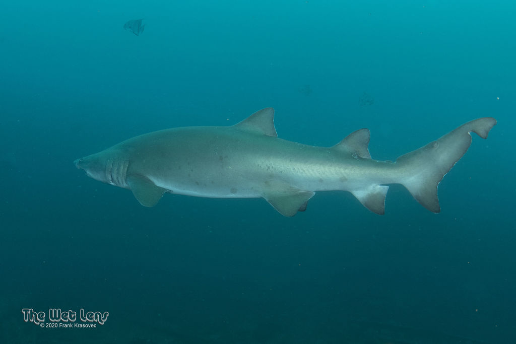 3363e411-ffc3-46a6-b1d3-0367f575d05d