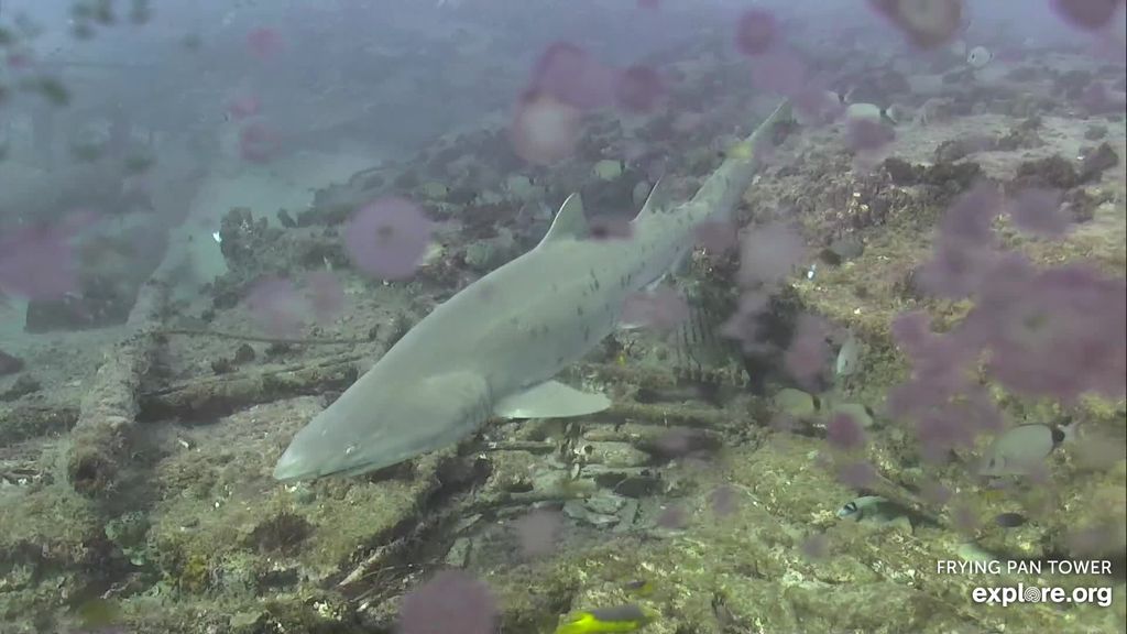 209e3703-10c4-43c4-997b-91644ed65a65