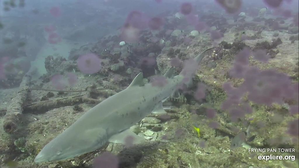 209e3703-10c4-43c4-997b-91644ed65a65