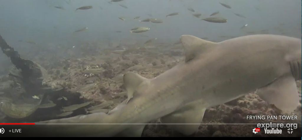 0e2e8431-4294-4f30-8704-0cf2147b8a34