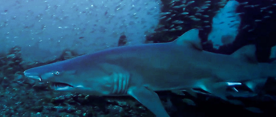 b93281f2-e11f-4ad7-89b2-edfc1023dd15