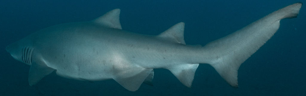 eeb6f7db-e9aa-4fcc-be04-7ec6512fddbc