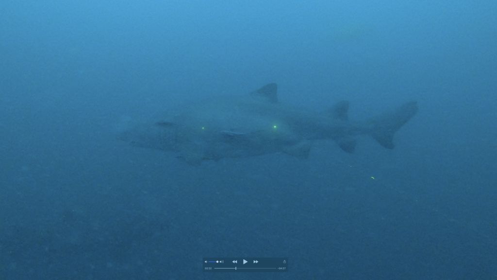 a8597583-27cd-42cd-99c2-7a091ad41ea4