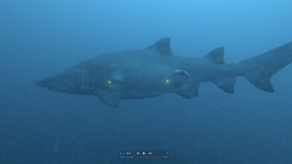 a8597583-27cd-42cd-99c2-7a091ad41ea4