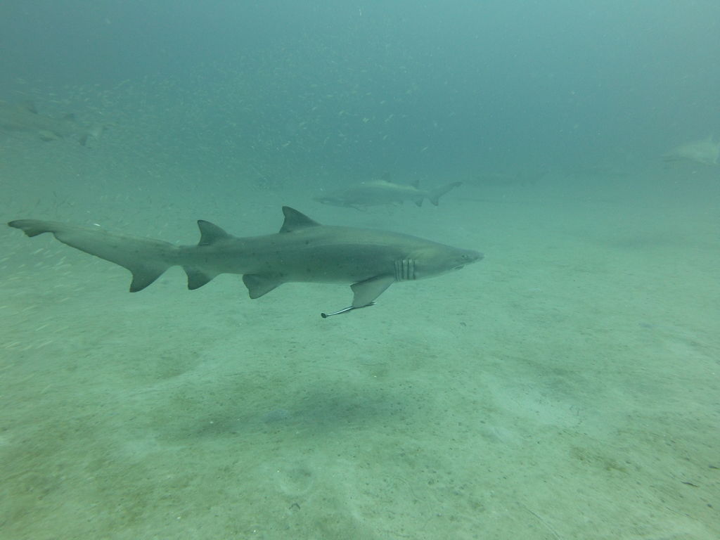 0576f933-3046-46ce-b7d8-c3cdeeccd583