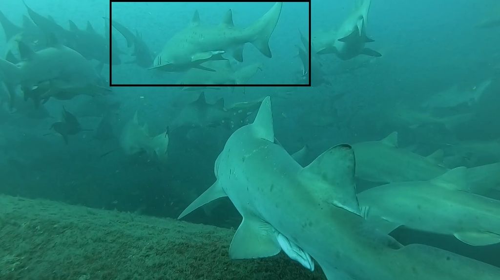 e1417ef6-6917-4740-b05a-effed97b8180