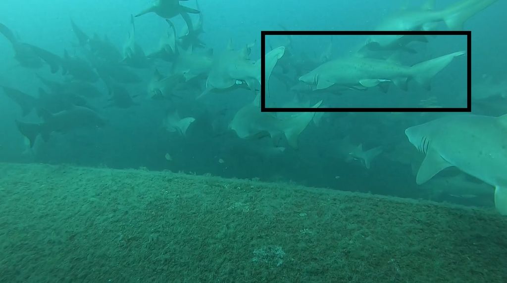 e1417ef6-6917-4740-b05a-effed97b8180