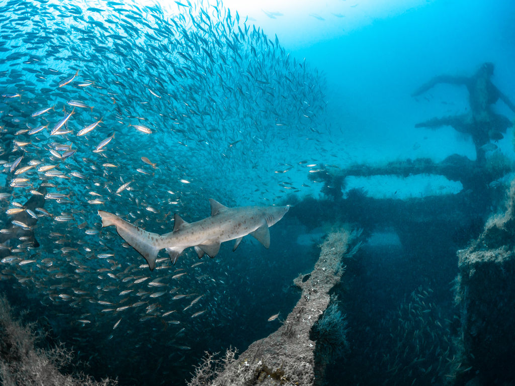 cd8bedb3-3d69-40fd-be32-4991f62d7632