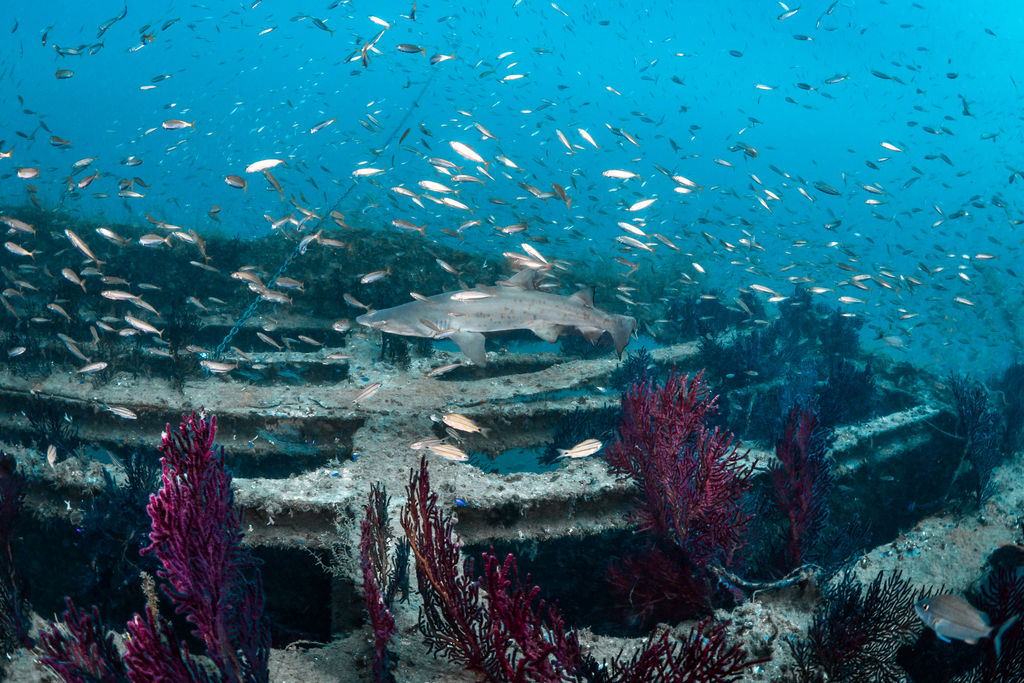 cd8bedb3-3d69-40fd-be32-4991f62d7632