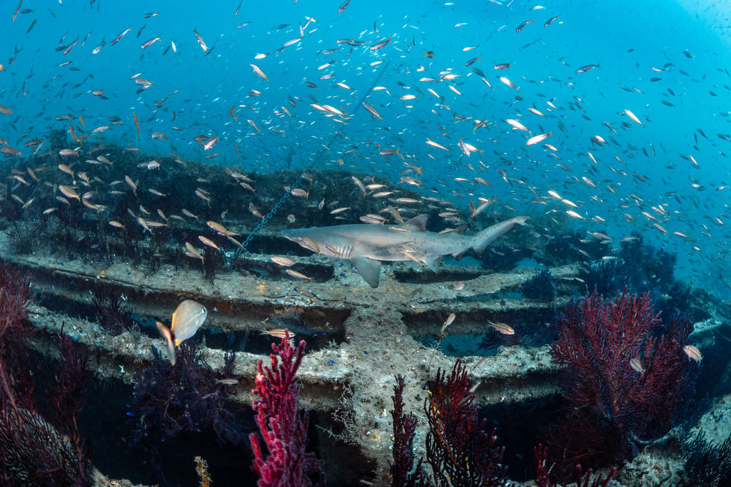 cd8bedb3-3d69-40fd-be32-4991f62d7632