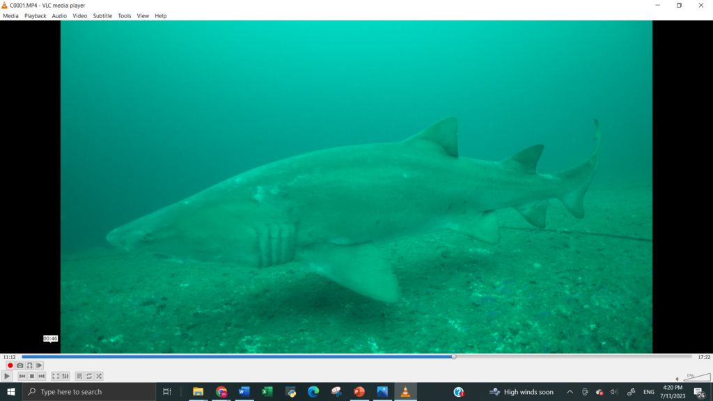 1a83d014-6aea-4f89-9c7e-deb23706314e