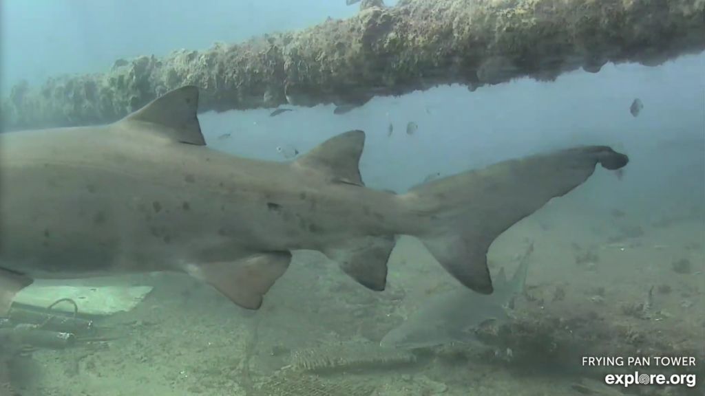 af39fd4e-8baf-4c83-bafb-0ba2cec57874