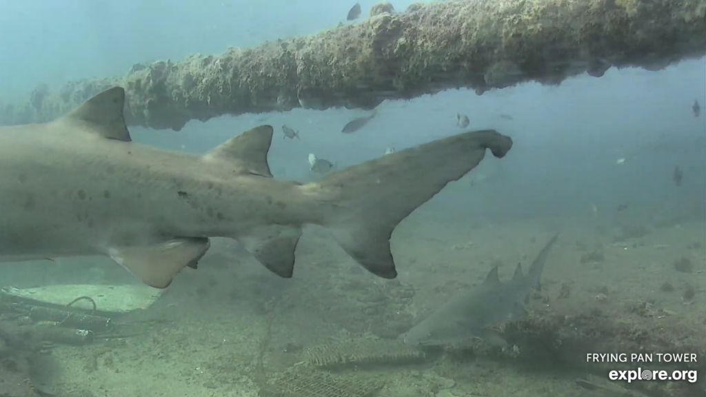 af39fd4e-8baf-4c83-bafb-0ba2cec57874