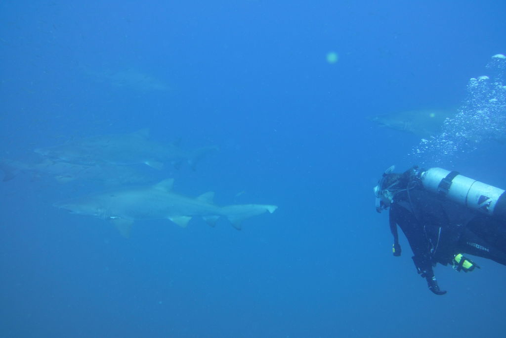 f5f1c3d1-351d-49b2-85d0-c65335ae0cdd