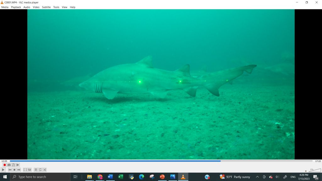 d54685b7-f6f2-4971-9fa5-840b5a0f6827