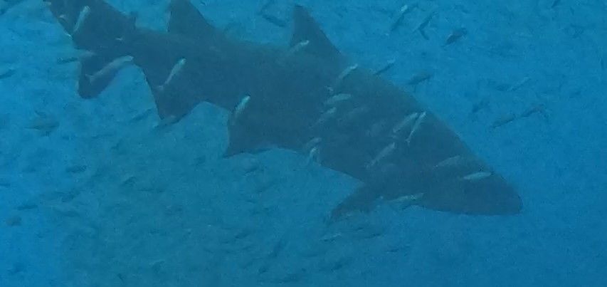 00b83aad-9a86-40cc-bd12-cb9ffa1059f3